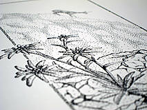 Grafika - Plesnivec - 17341636_