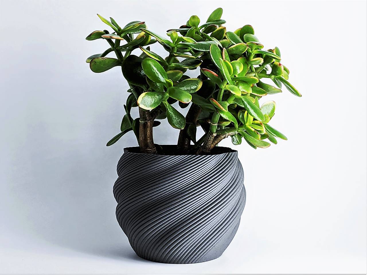 Kvetináč – Špirálový Dizajn