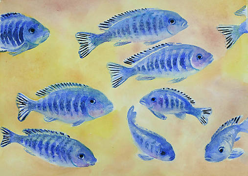 Obrazy - Modré rybky - 17354894_