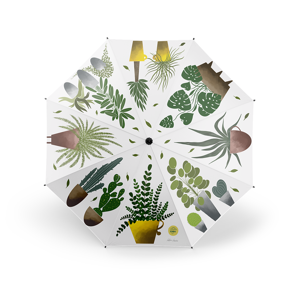 Dlhý dáždnik Rastlinky