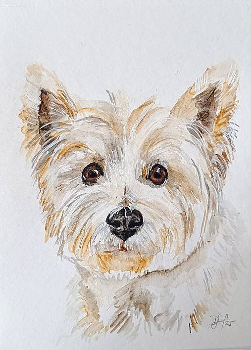 Kresby - portrét miláčika - Robi (A4) - 17362270_