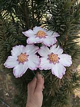 Dekorácie - Biela krasuľka - 17371152_