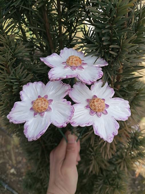 Dekorácie - Biela krasuľka - 17371152_