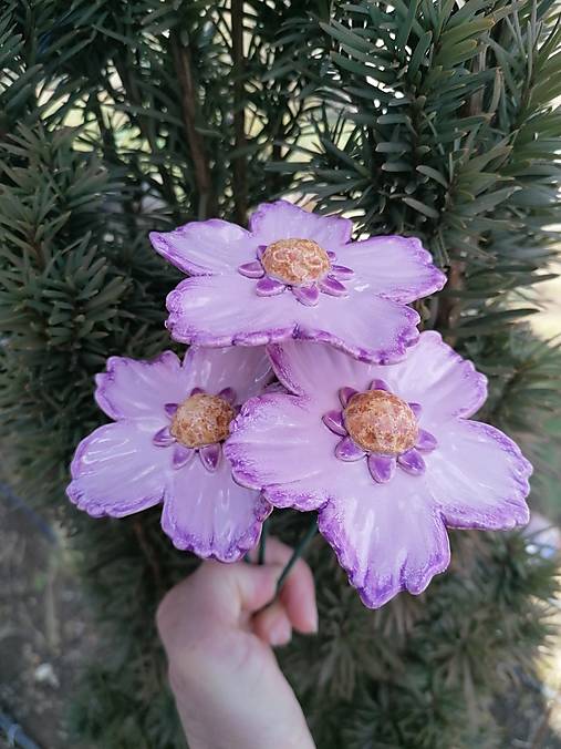 Dekorácie - Ružová krasuľka  - 17371154_