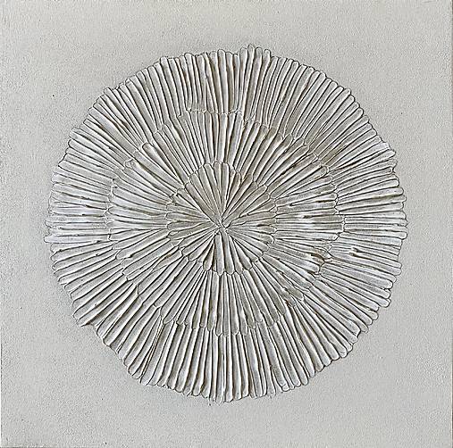 Obrazy - Kruh III 50x50 - 17379880_