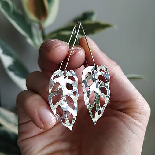 Náušnice - Veľké Monstera Adansonii náušnice - 17381287_