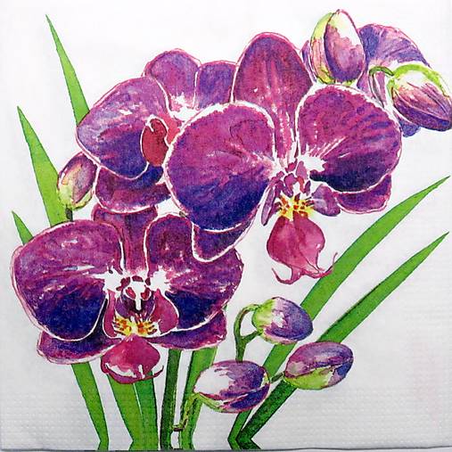 Papier - Servítka  M-310------- 25x25 cm - 17393411_