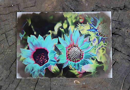 Papiernictvo - Postcard A6_ktr 102 - 17400581_