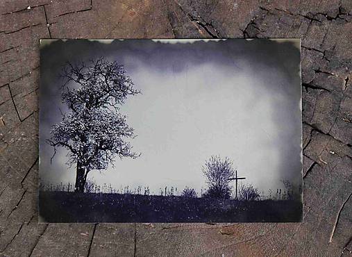 Papiernictvo - Postcard A6_ktr 104 - 17400586_