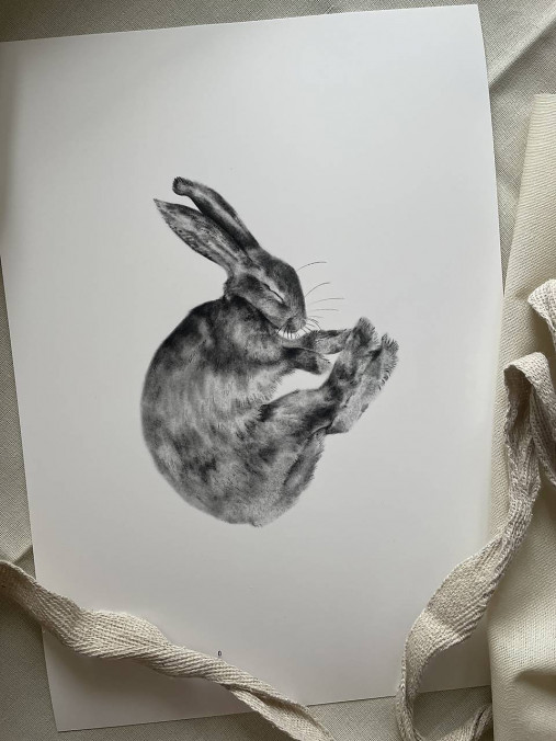 Grafika - Zajačik 04 - 17404486_