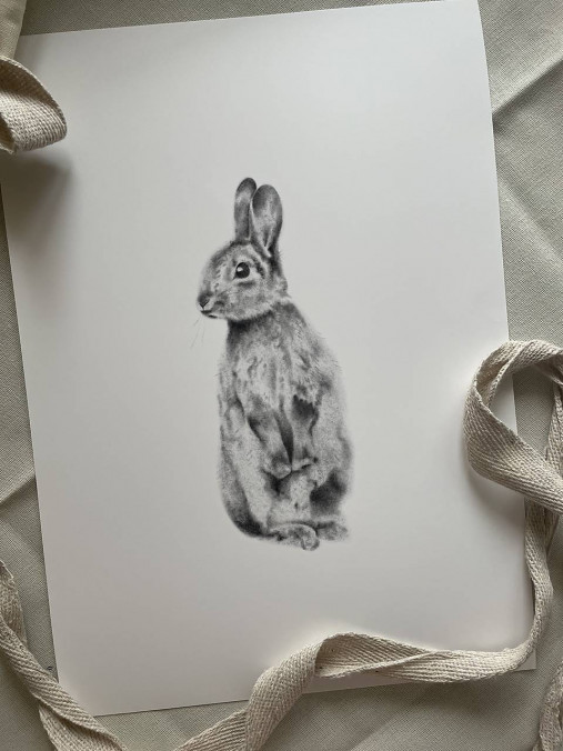 Grafika - Zajačik 06 - 17404495_