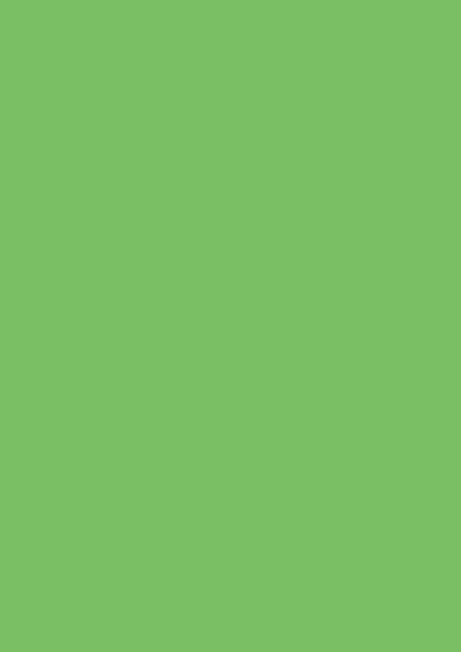 Papier - Farebný papier A4 130g stredne zelený - 10 ks - 17407103_