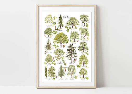 Hračky - Plagát STROMY - 17421777_