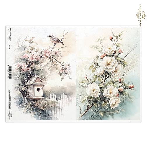 Papier - Ryžový papier R 2586 - 17430055_