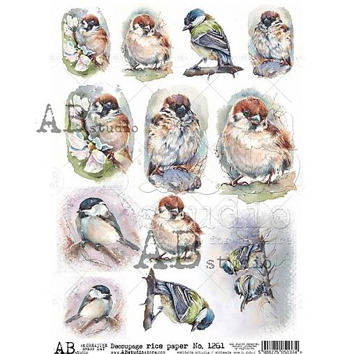 Papier - Ryžový papier 1261 AB/ A4 - 17430245_