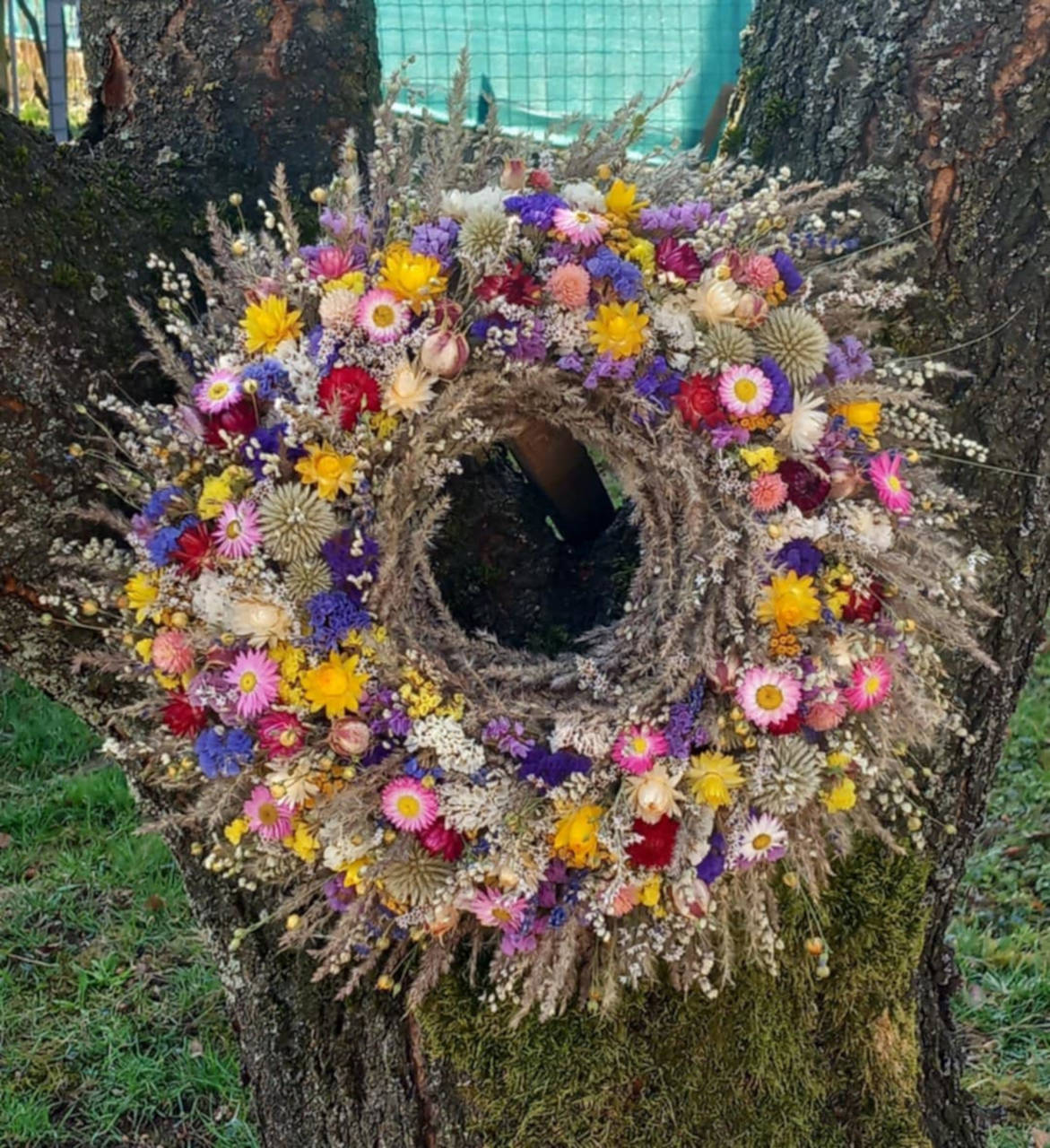 Veniec zo sušených kvetov 3