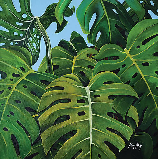 Obrazy - Obraz: Monstera - 17434542_