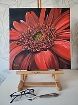 Obrazy - Obraz: Gerbera v plnom kvete - 17438081_