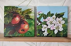 Obrazy - Obraz: Jablká v záhrade - 17438431_
