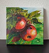 Obrazy - Obraz: Jablká v záhrade - 17439423_