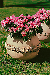 Dekorácie - Hlinený črepník  s margarétkami 30cm - 17443774_