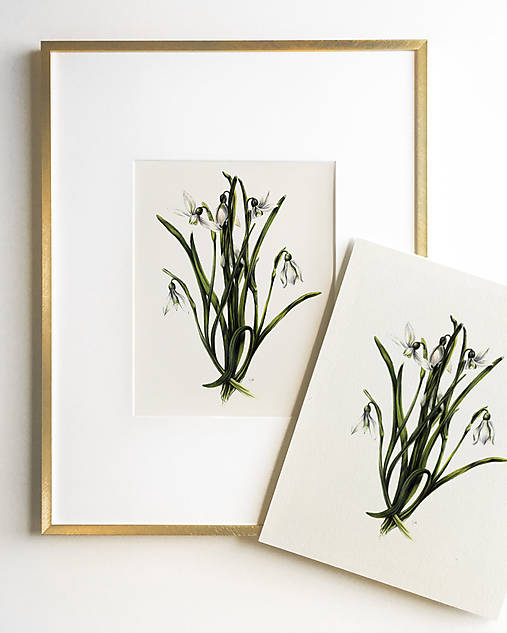 Kresby - Print Snežienky (A5) - 17444687_