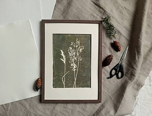 Grafika - Botanická ilustrácia/print Divokrásne no.11 - 17444159_