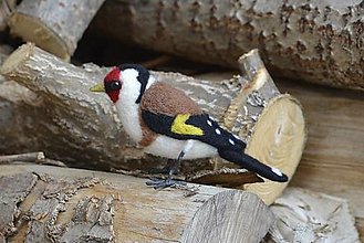 Dekorácie - Stehlík pestrý  - 17451725_