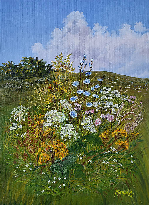 Obrazy - Olejomaľba: Krása letných burín - 17457832_