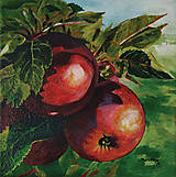 Obrazy - Obraz: Jablká v záhrade - 17459525_