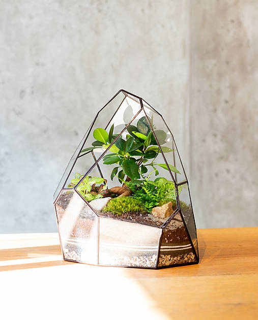 Dekorácie - Rastlinné terárium "KVAPKA" (Meď/Bronz) - 17467708_