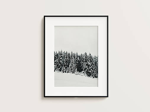 Fotografie - Zasnežený les - 17470896_