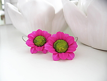 Náušnice - Bellis Magenta, visiace náušnice - 17473349_