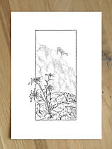Grafika - Plesnivec - 17473337_