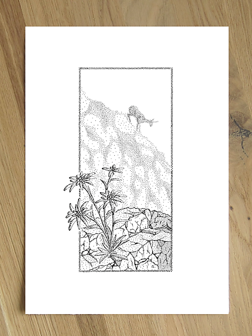 Grafika - Plesnivec - 17473337_