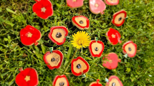 Dekorácie - Keramické jabĺčka  - 17473831_