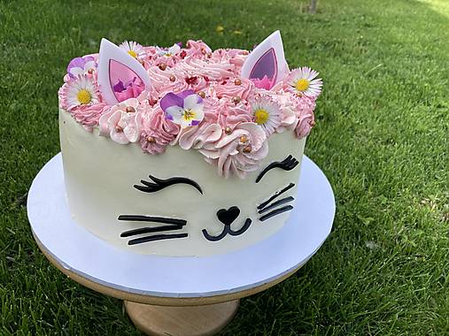Dekorácie - Mačičková torta - komponenty očká, uši, fúziky a noštek (Uši bielo-ružové + čierne oči,nos,fúziky) - 17474417_