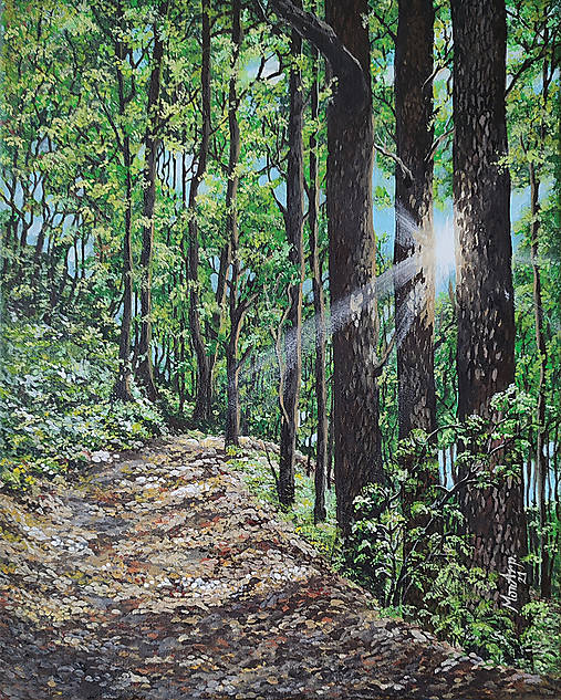 Obrazy - Obraz: Záblesk - 17474311_