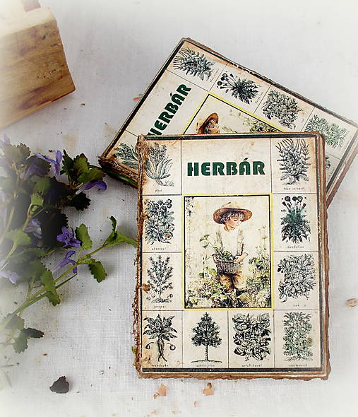 Papiernictvo - Herbár - 17481758_