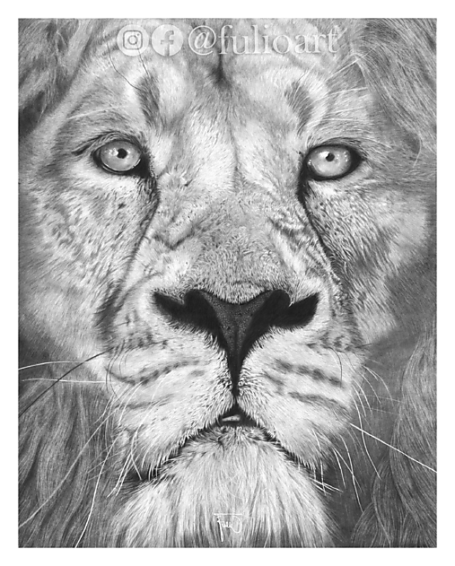 Kresby - ''EYES OF THE KING'' - 17482045_