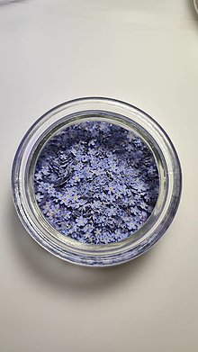 Iný materiál - Nezábudky - sušené, lisované  - 17501489_