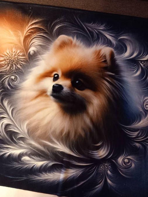 Textil - Panel -pomeranian - 17530250_