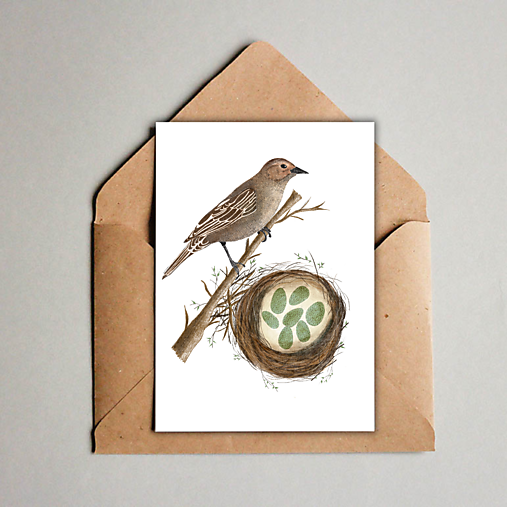 Papiernictvo - Pohľadnica (A6) Drozdia matka - 17531357_