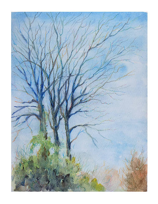 Obrazy - Stromy - 17540900_