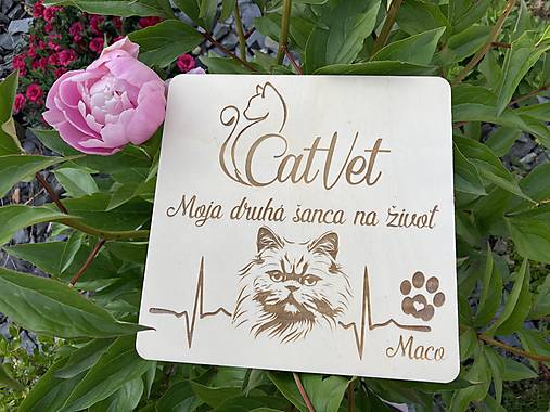 Tabuľky - Ďakovná tabuľka 20x20 cm - za záchranu života - 17539798_