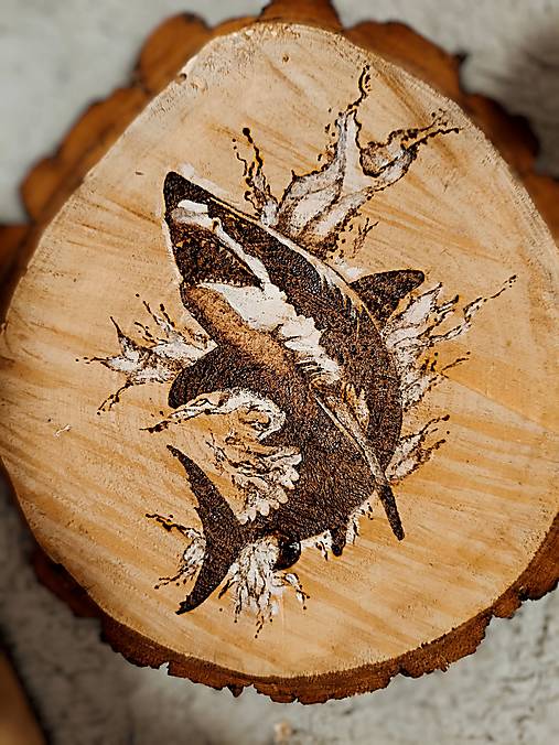 Obrazy - Vládca bielych vĺn  - 17546230_