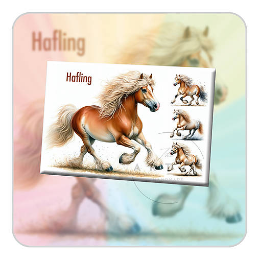 Magnetky - Hafling - magnetka - 17548563_