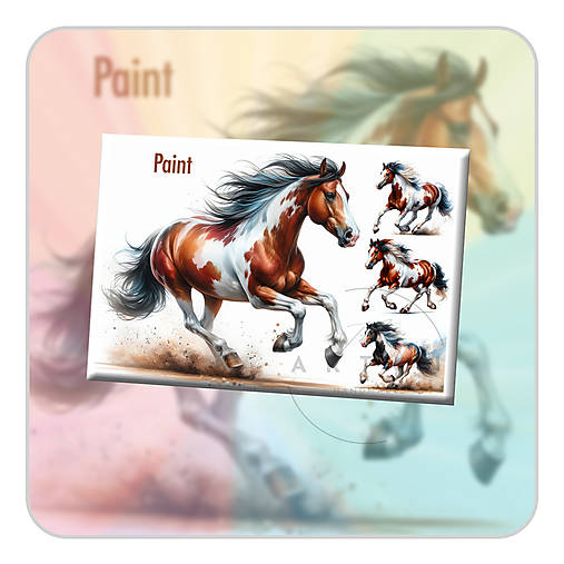 Magnetky - Paint - magnetka - 17548604_