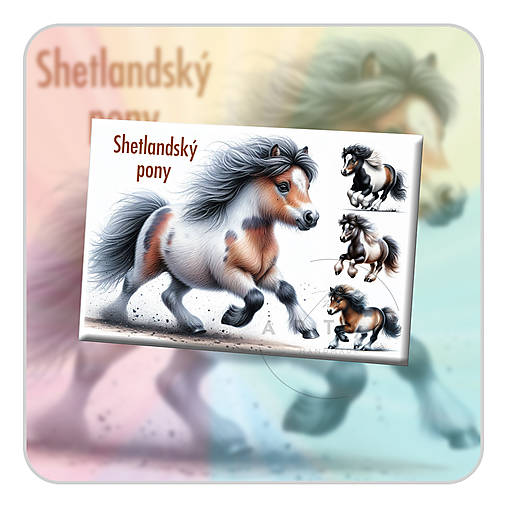 Magnetky - Shetlandský pony - magnetka - 17548620_