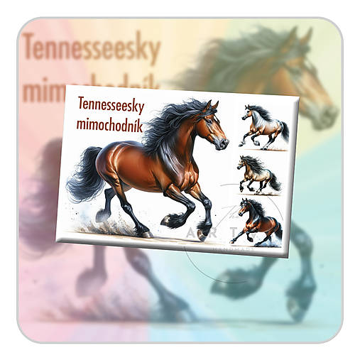 Magnetky - Tennesseeský mimochodník - magnetka - 17548627_